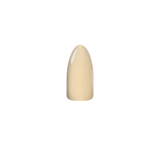 Chisel Solid 198